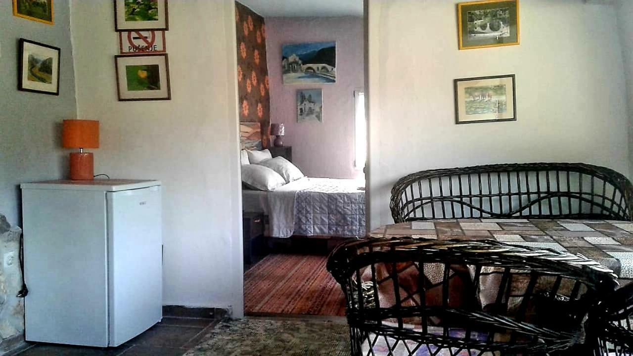 Guest House PERJANIK Rijeka Crnojevića Extérieur photo